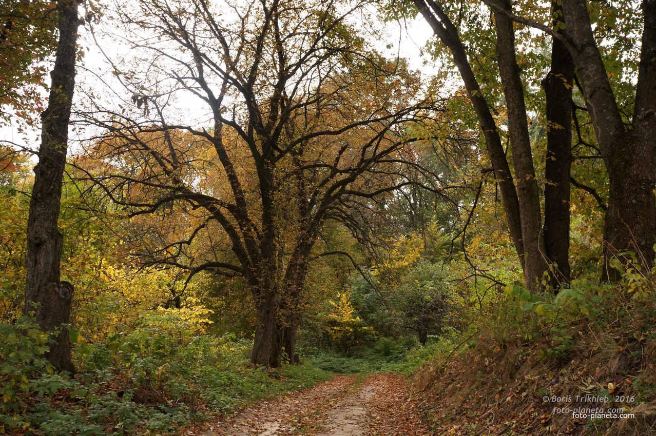Дорога на часовню