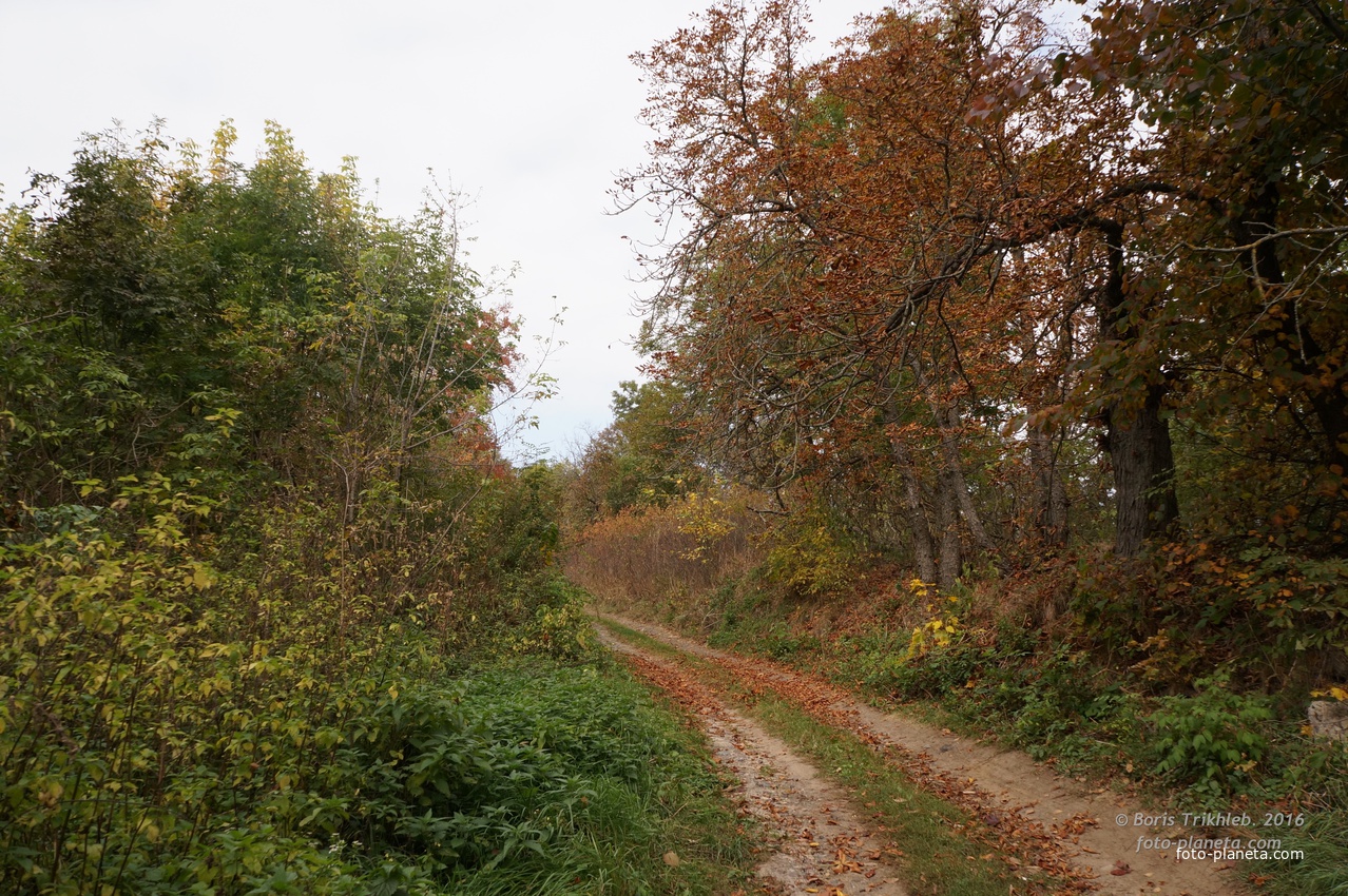 Дорога на часовню