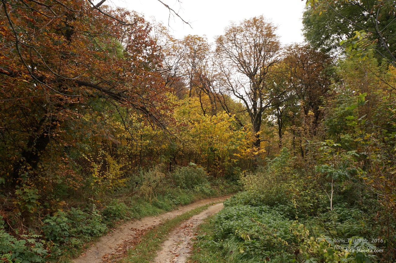 Дорога на часовню