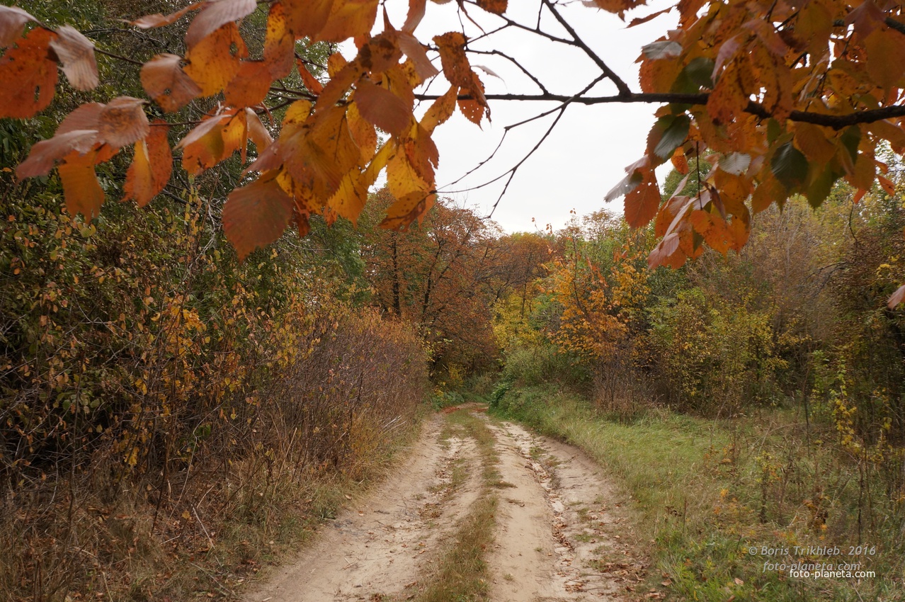 Дорога на часовню