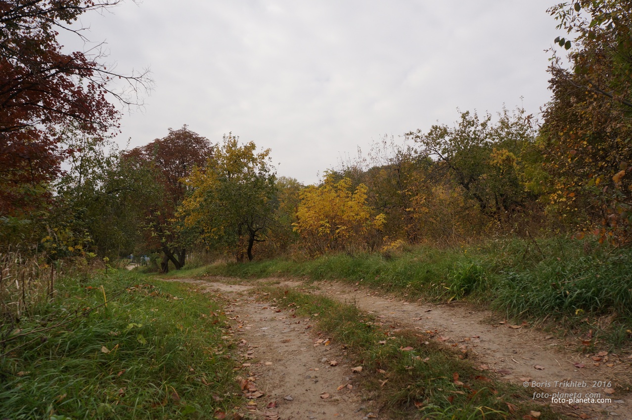 Дорога на часовню у яблонева сада