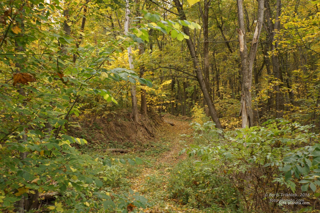 Дорога к памятнику