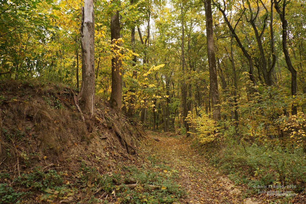 Дорога к памятнику