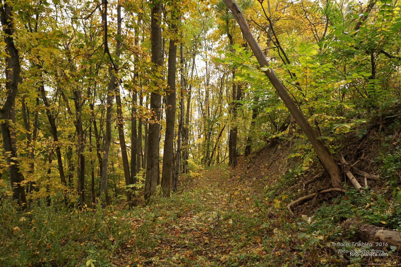 Дорога на горе