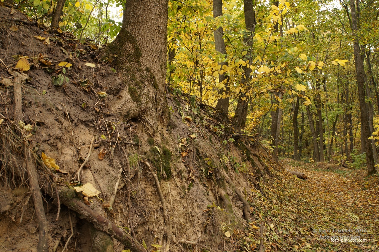 Дорога к памятнику