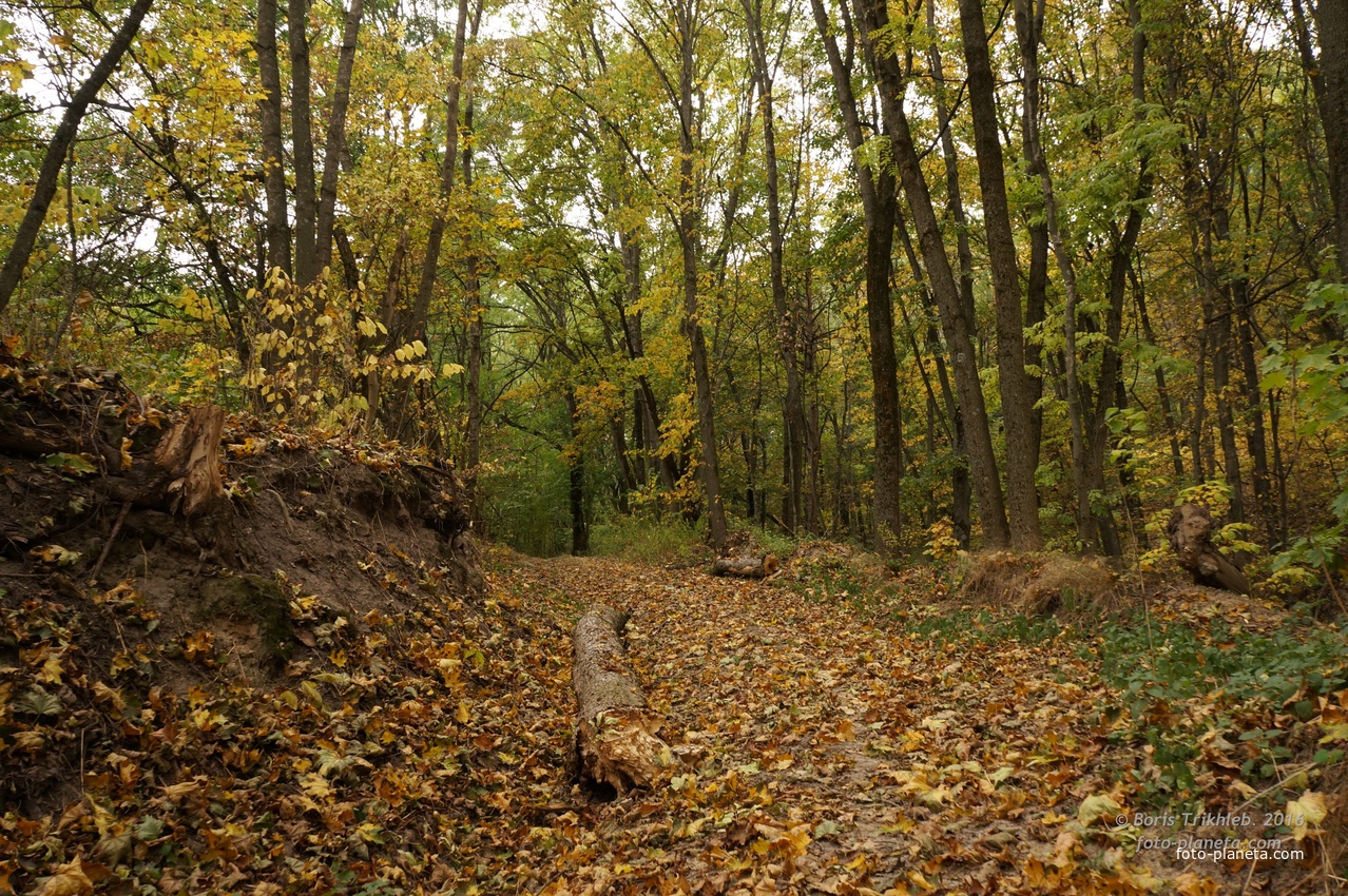 Дорога к памятнику
