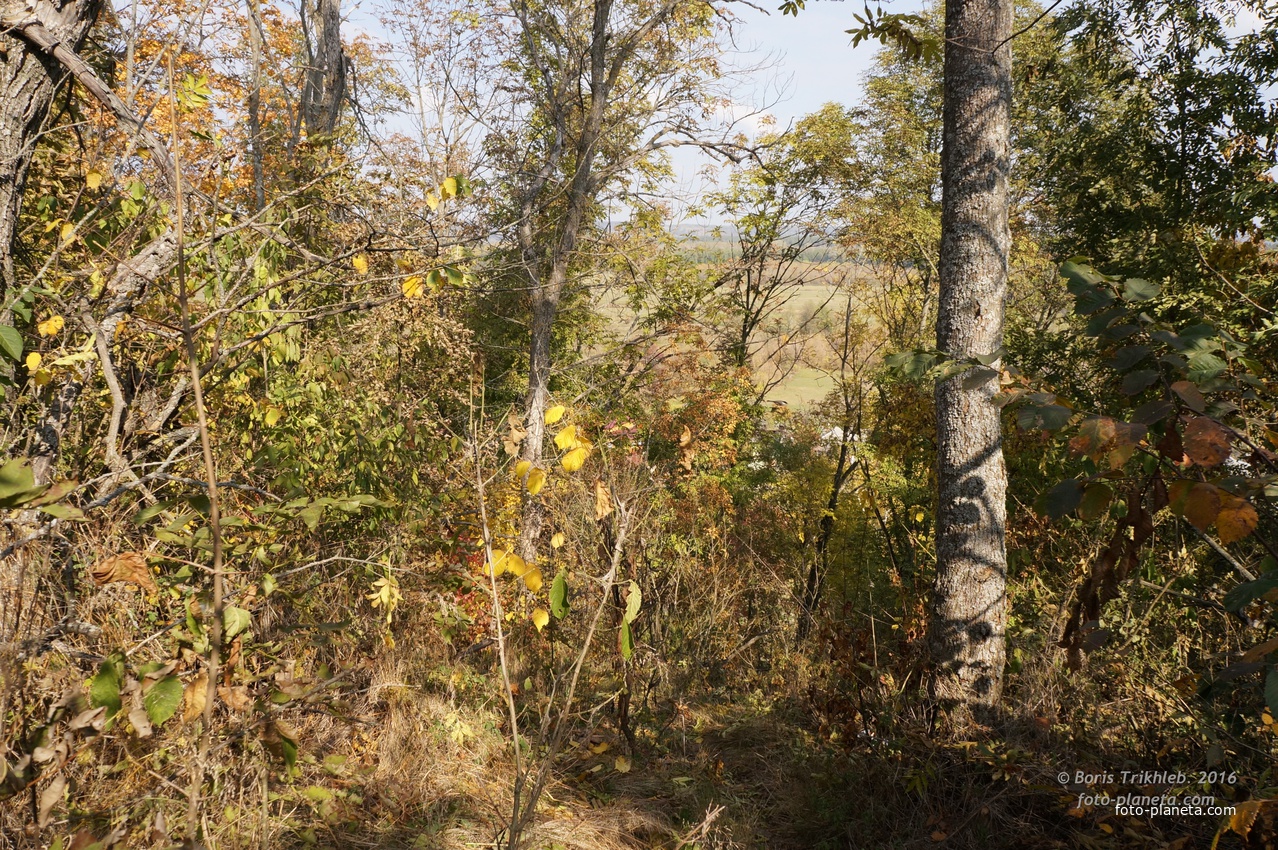 Спуск с горы к Западне