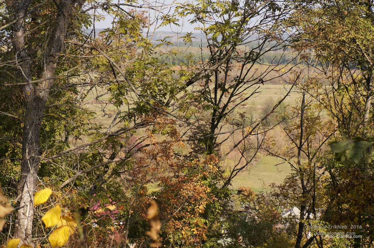 Заливной луг на Западне
