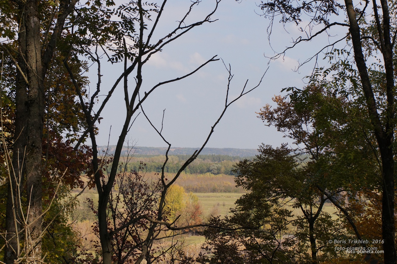 Михайловские просторы
