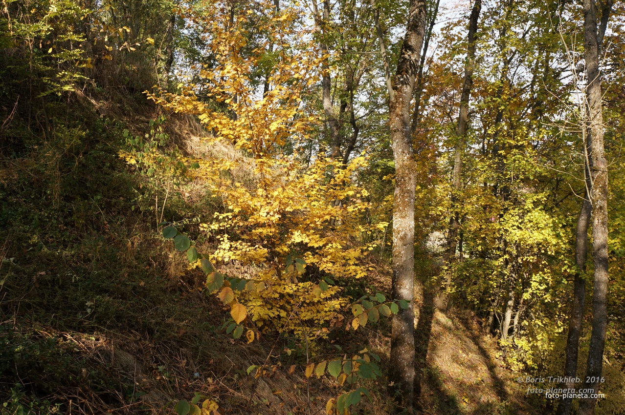 Спуск с горы к Западне