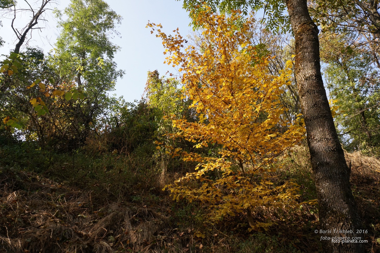 Спуск с горы к Западне