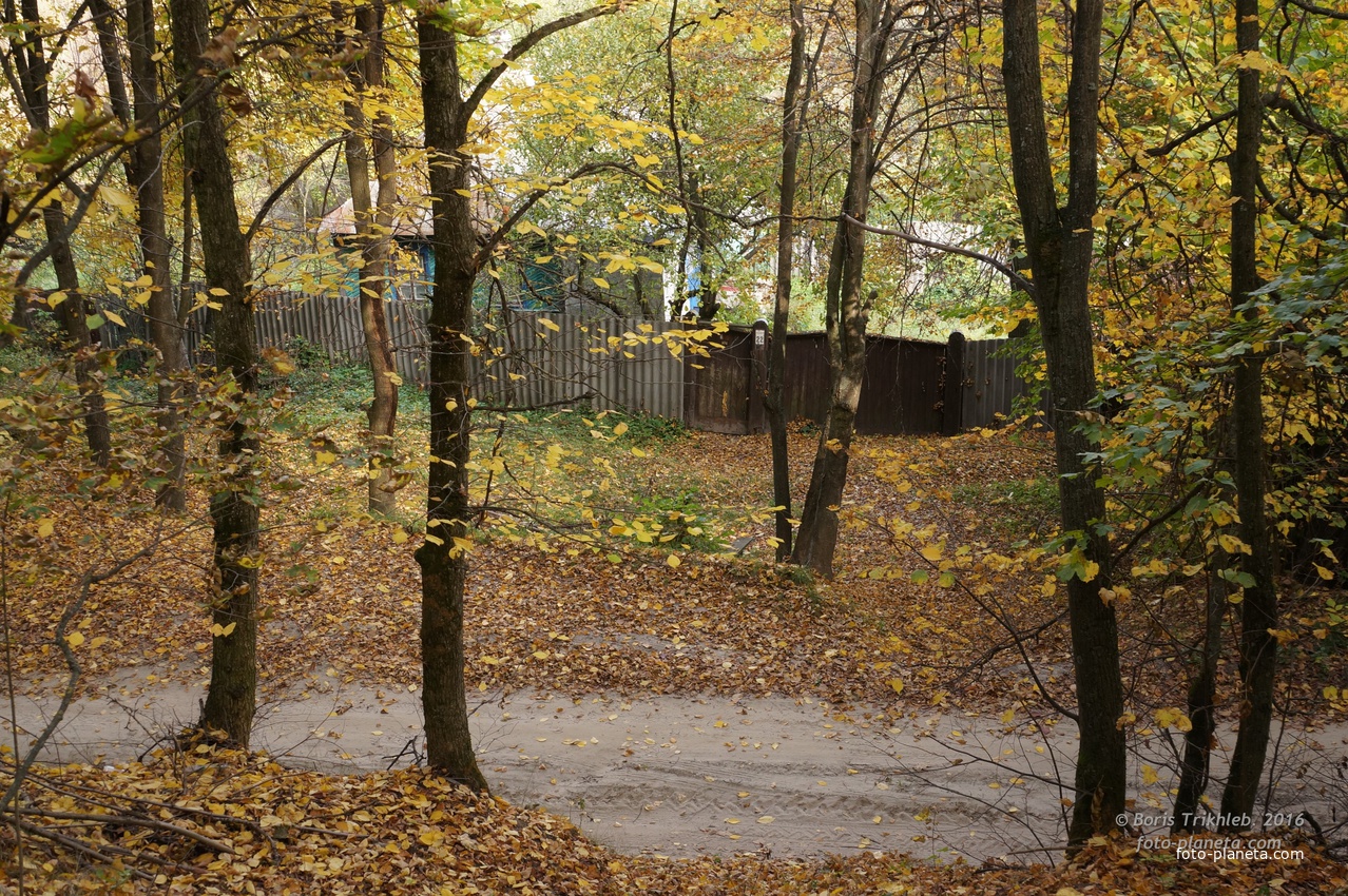 Окраина села на Западне