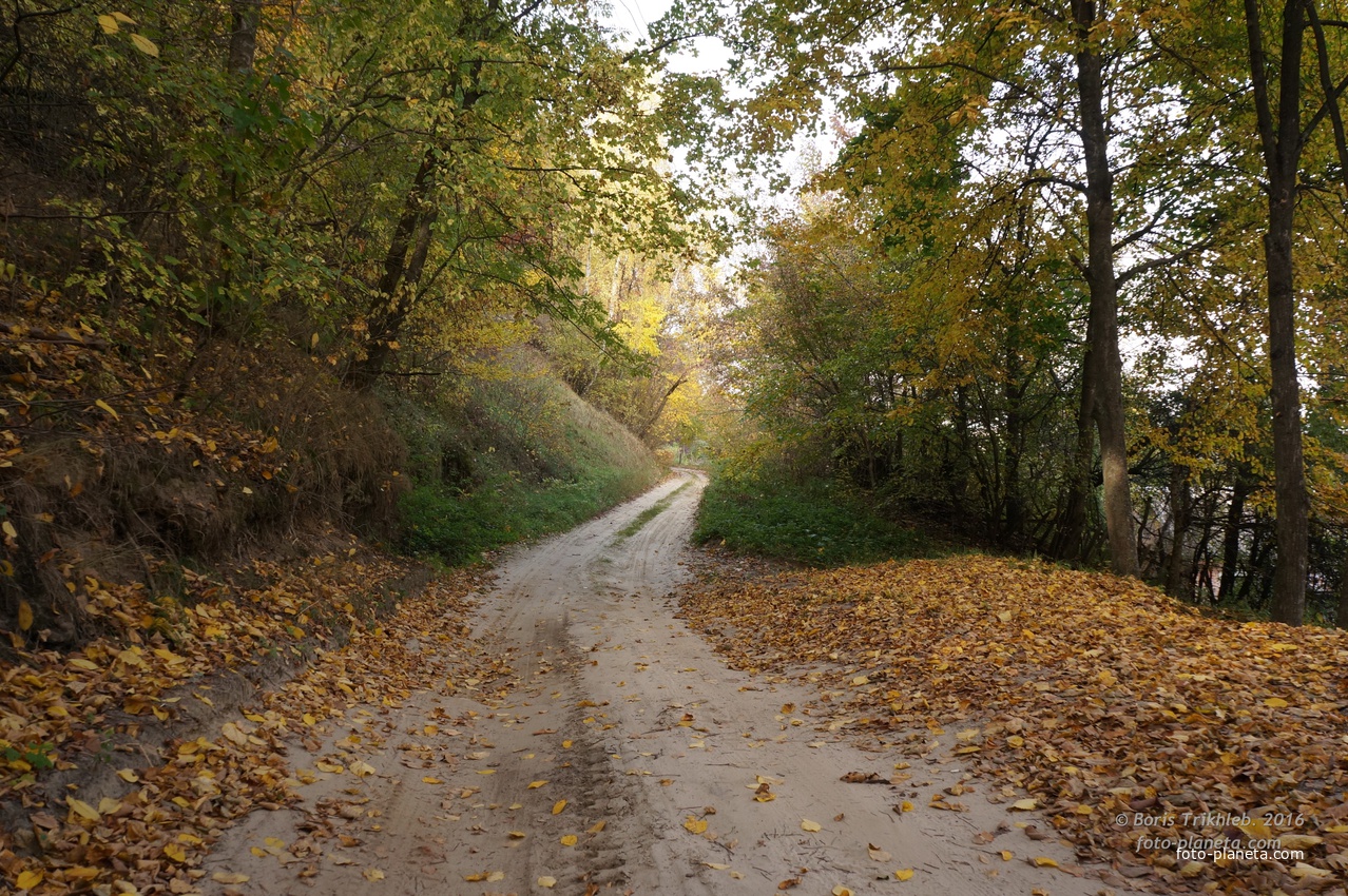 Окраина села на Западне