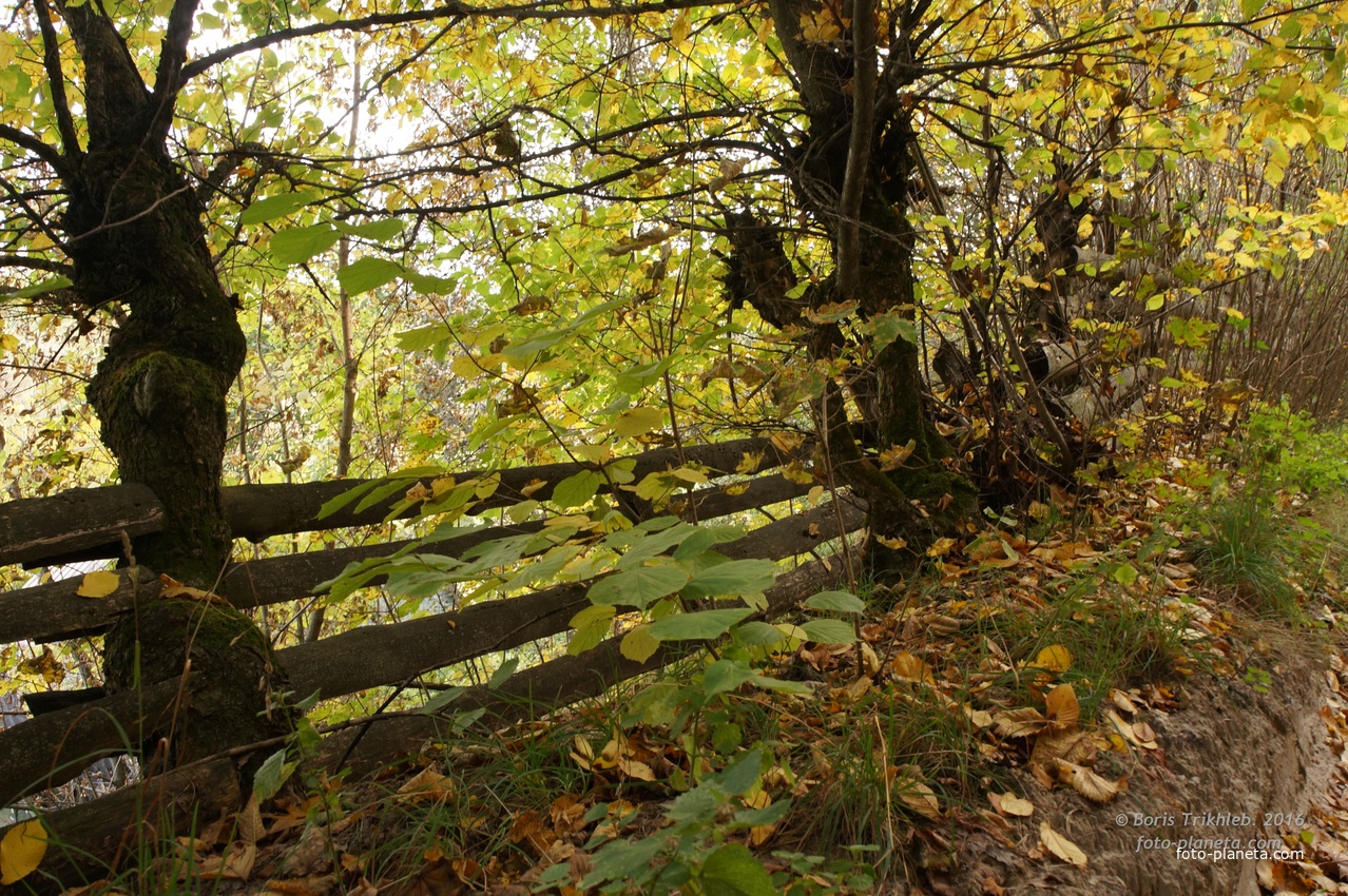 Окраина села на Западне