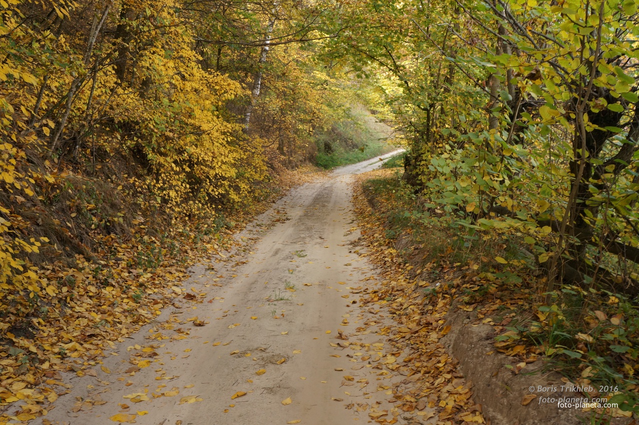 Окраина села на Западне