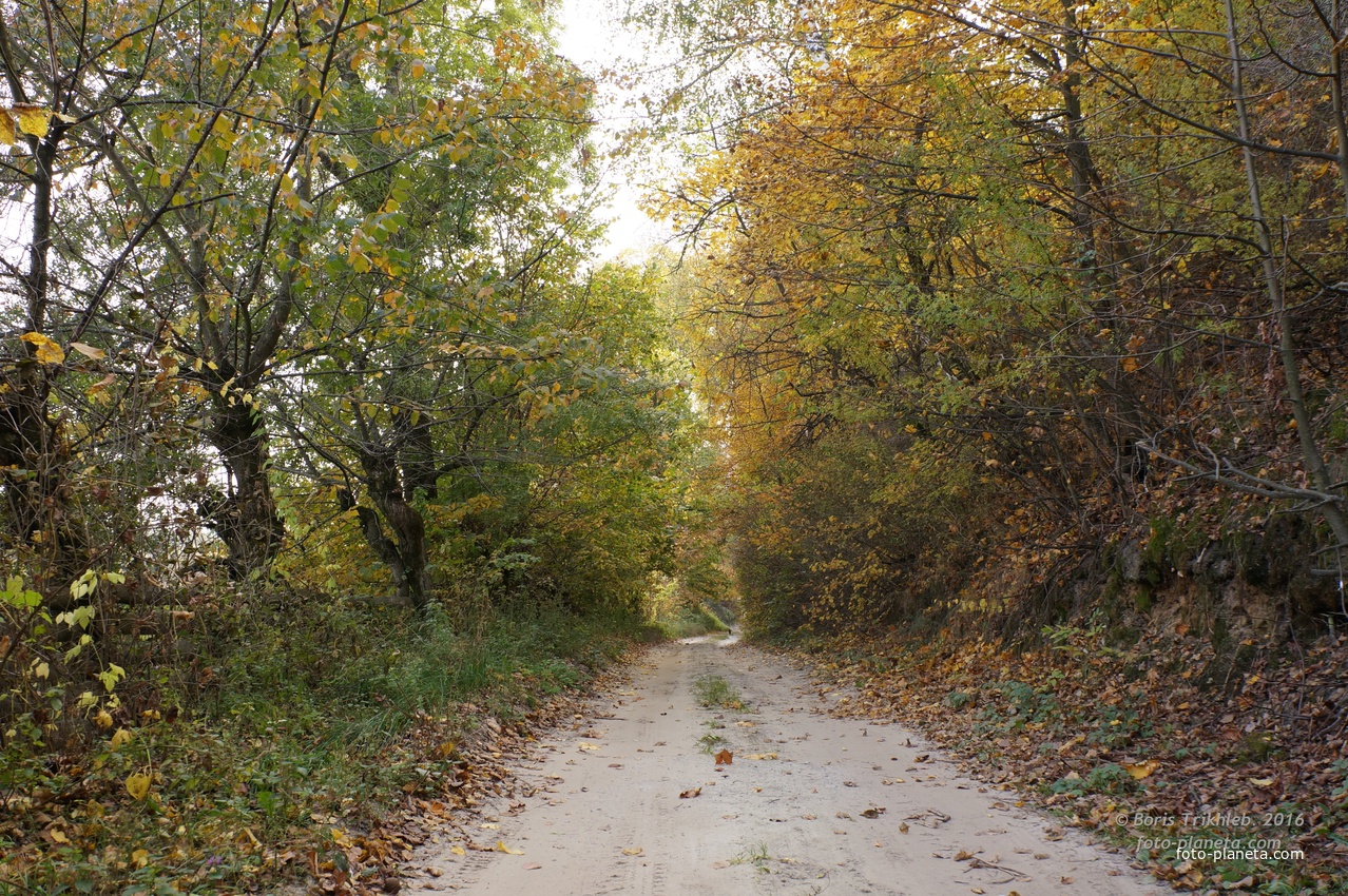 Окраина села на Западне
