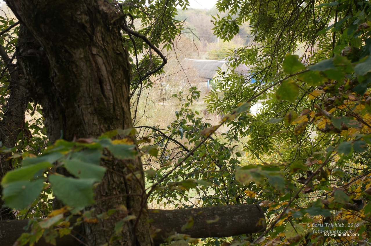 Окраина села на Западне