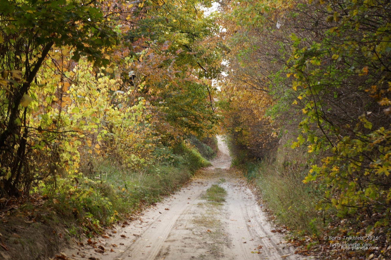 Окраина села на Западне