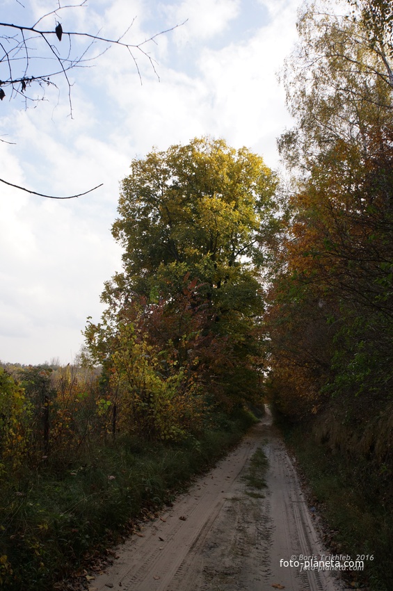 Окраина села на Западне