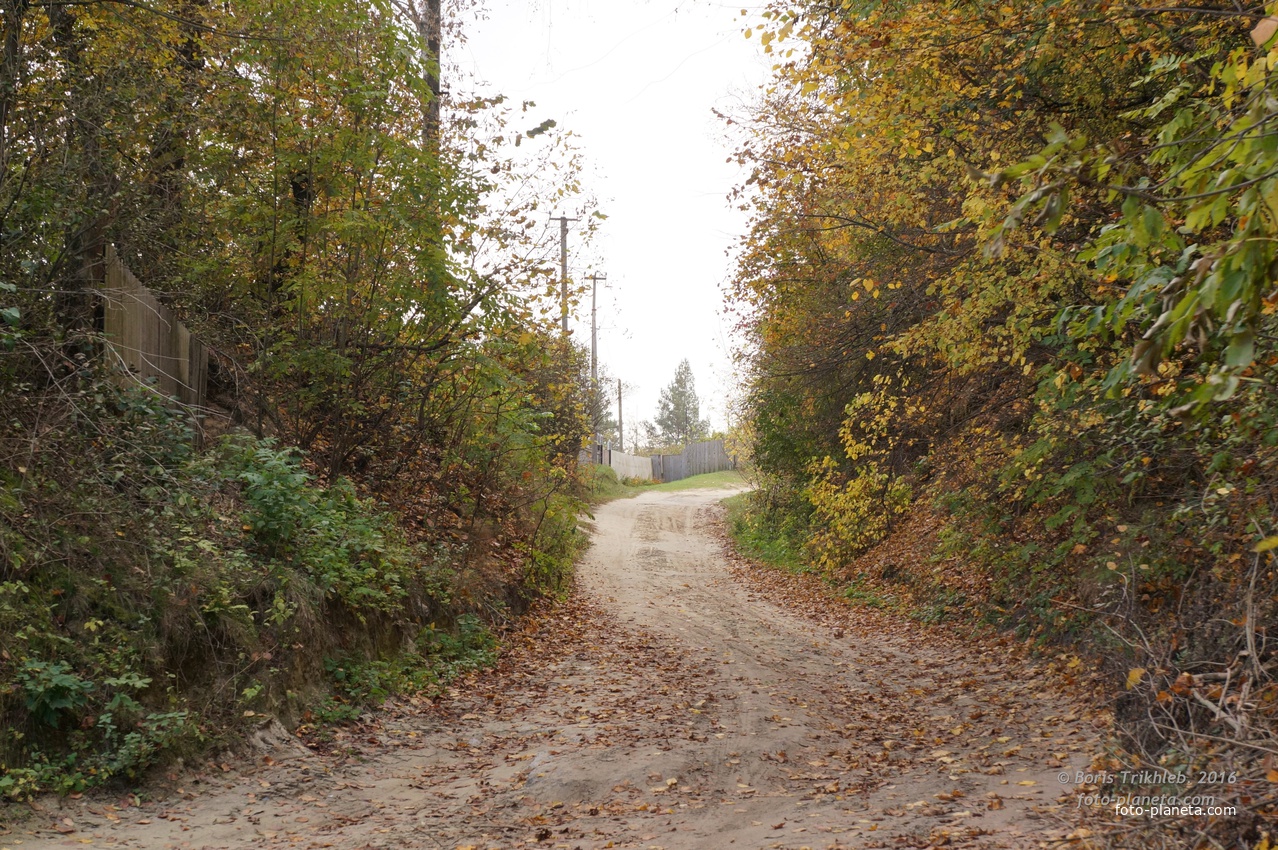 Михайловка, Западня