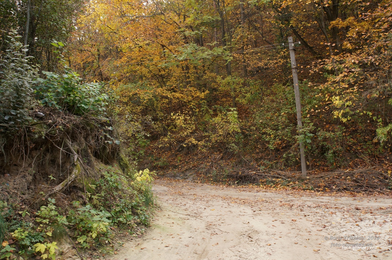 Михайловка, Западня