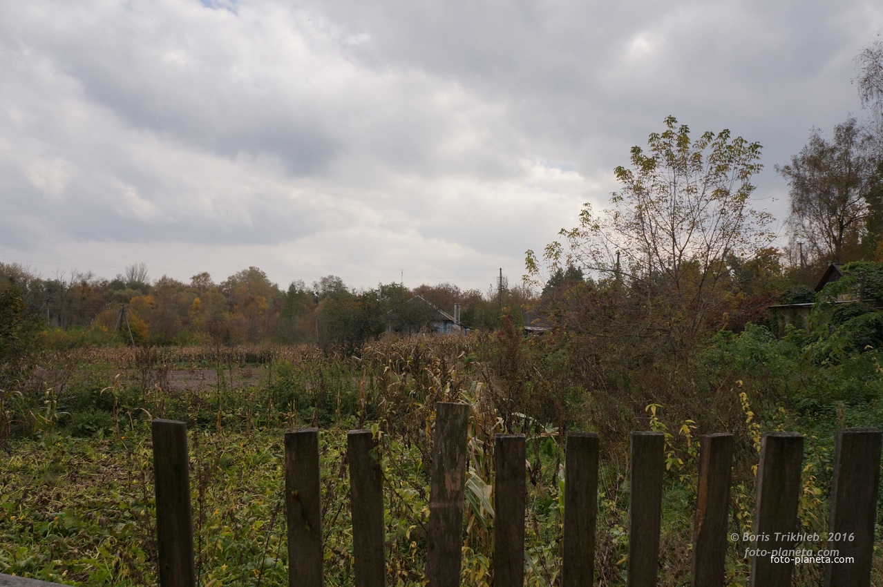 Михайловка, Западня