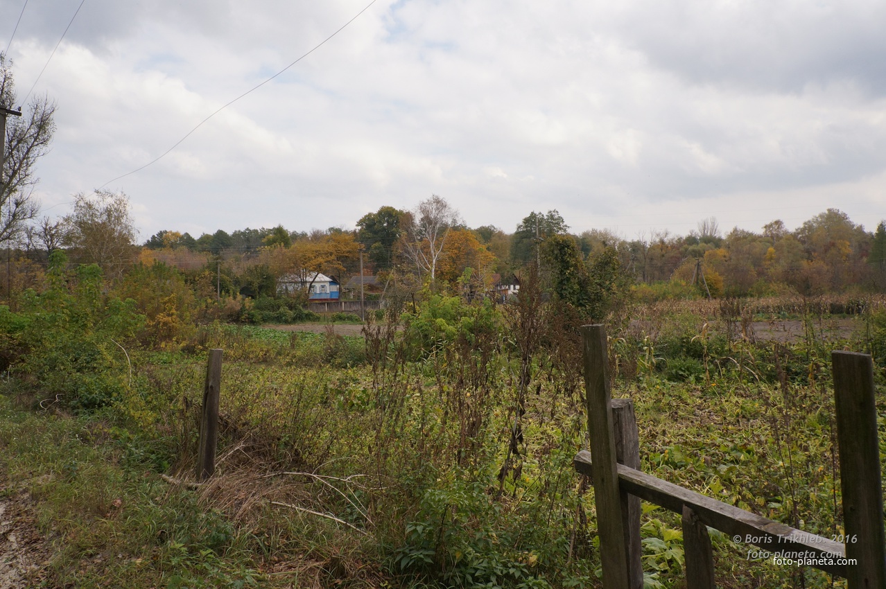 Михайловка, Западня