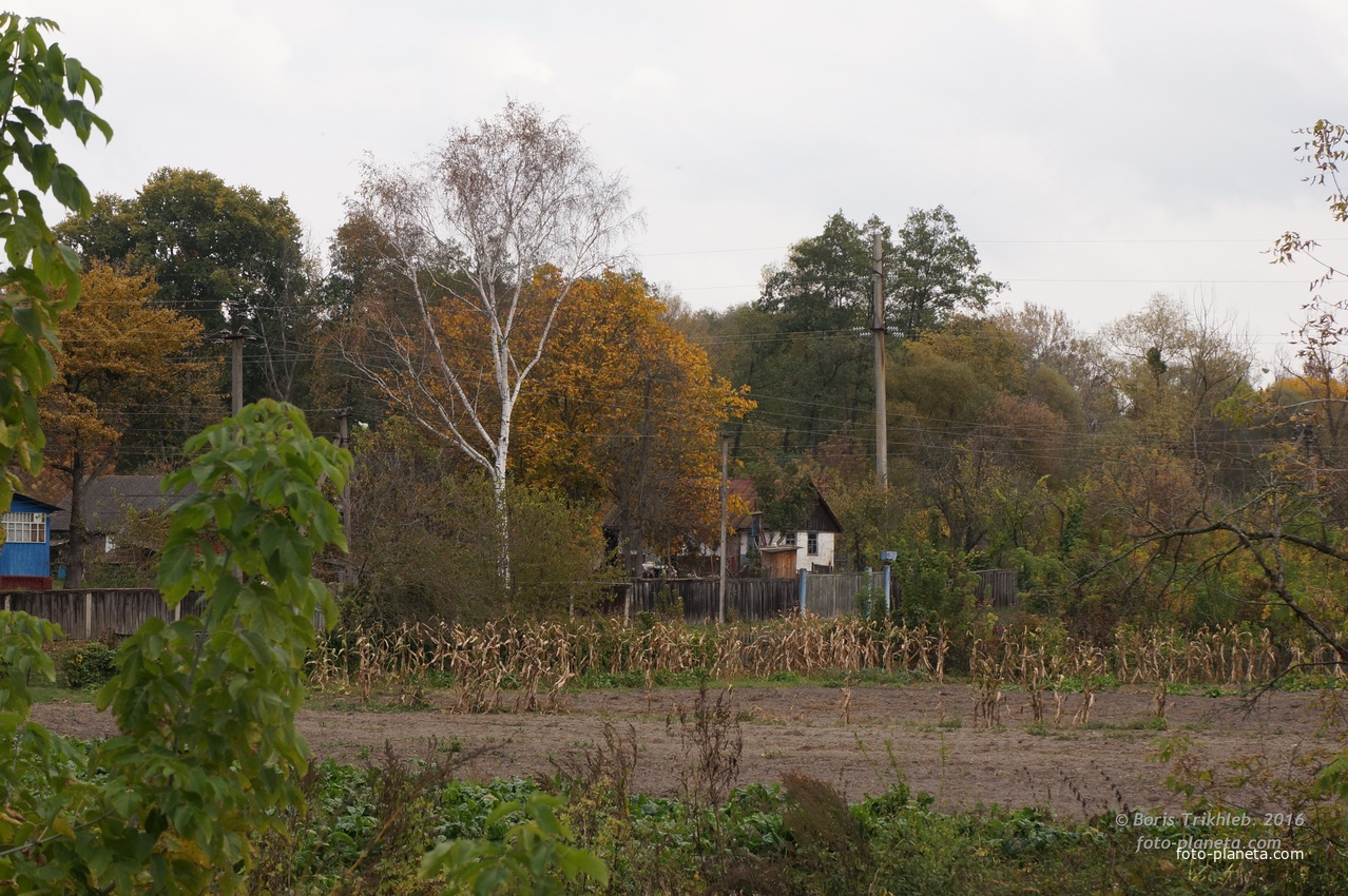 Михайловка, Западня
