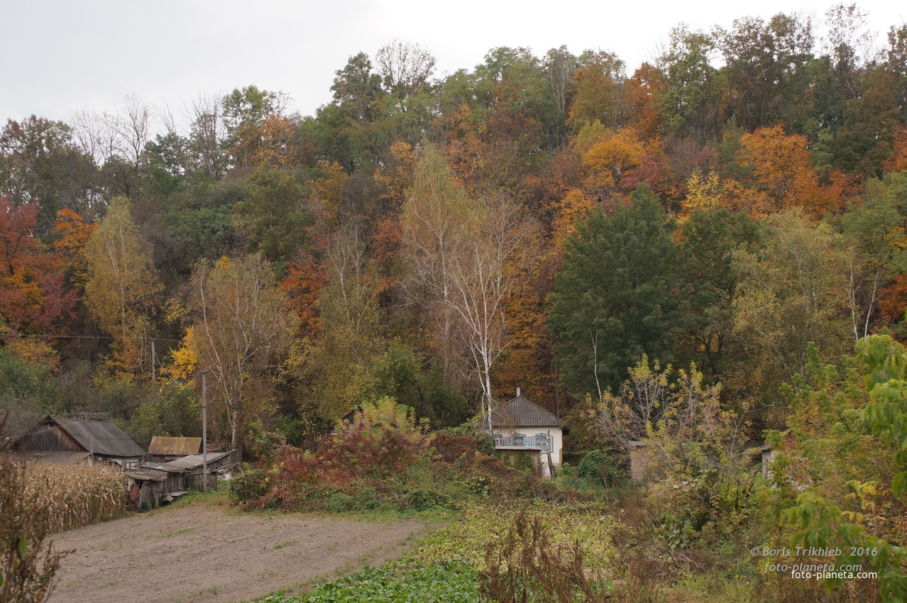 Михайловка, Западня
