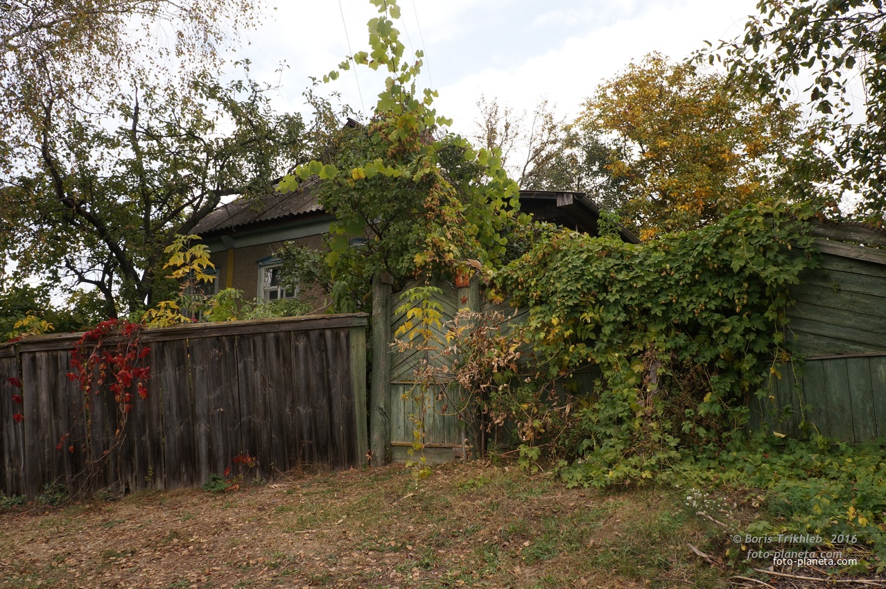 Михайловка, Западня