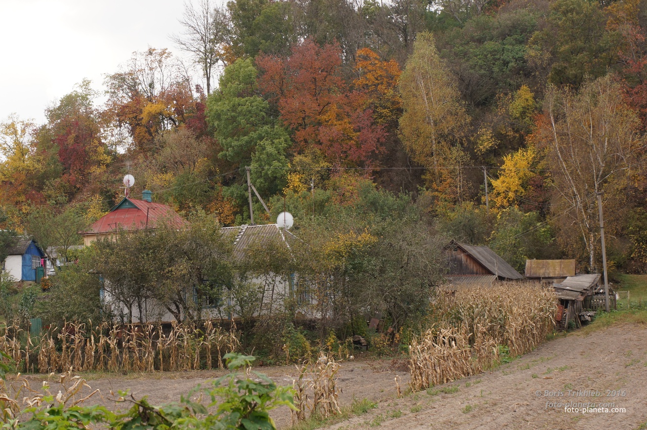 Михайловка, Западня