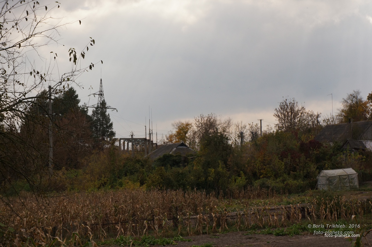 Михайловка, Западня