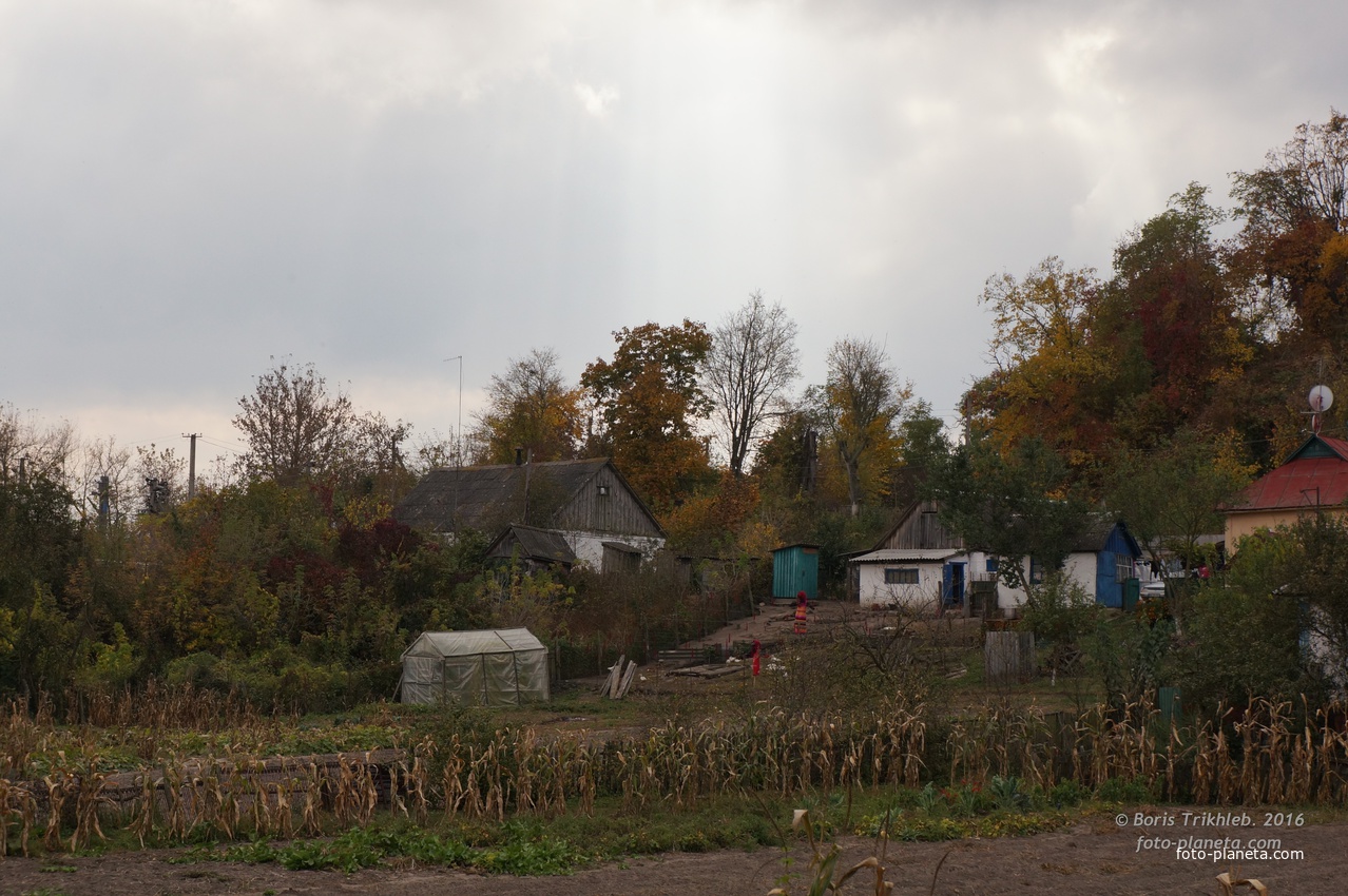 Михайловка, Западня