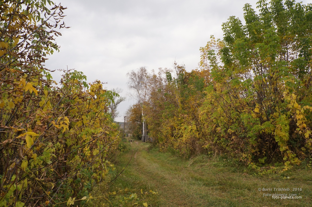 Михайловка, Западня