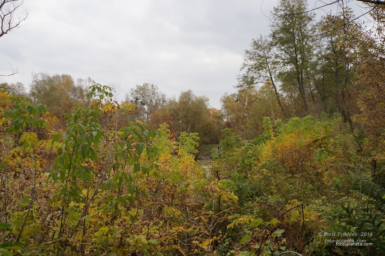 Михайловка, Западня