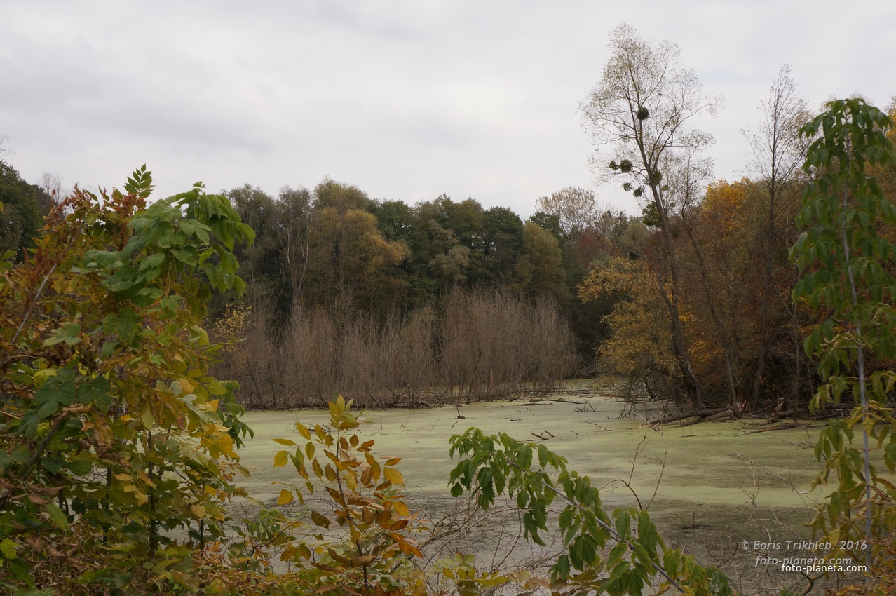 Михайловка, Западня, русло речки Псёл