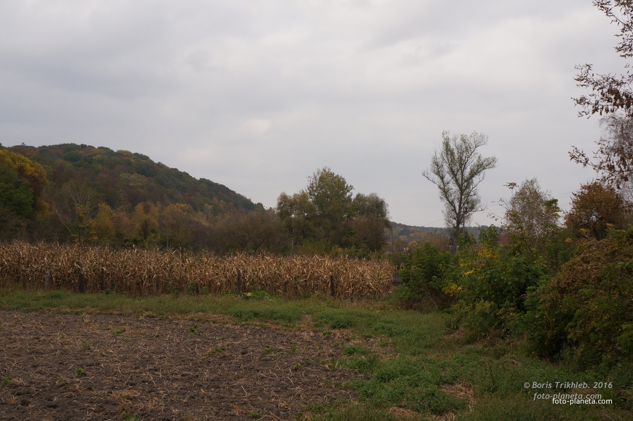 Михайловка, Западня