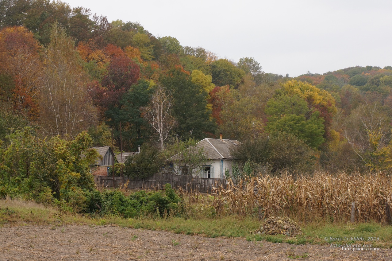 Михайловка, Западня