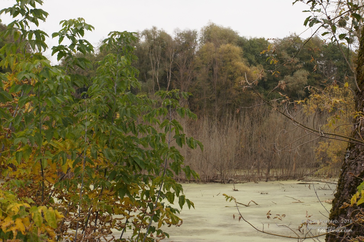 Михайловка, Западня, русло речки Псёл