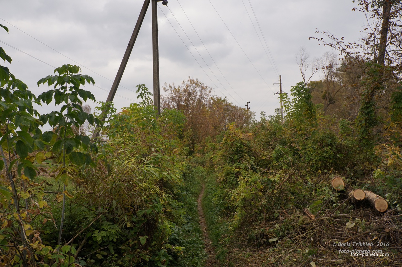 Михайловка, Западня