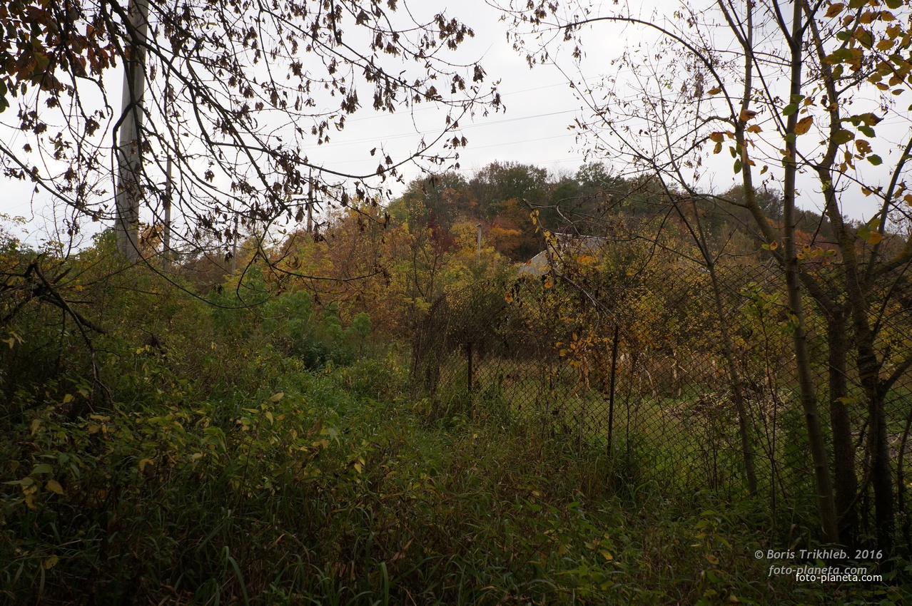 Михайловка, Западня