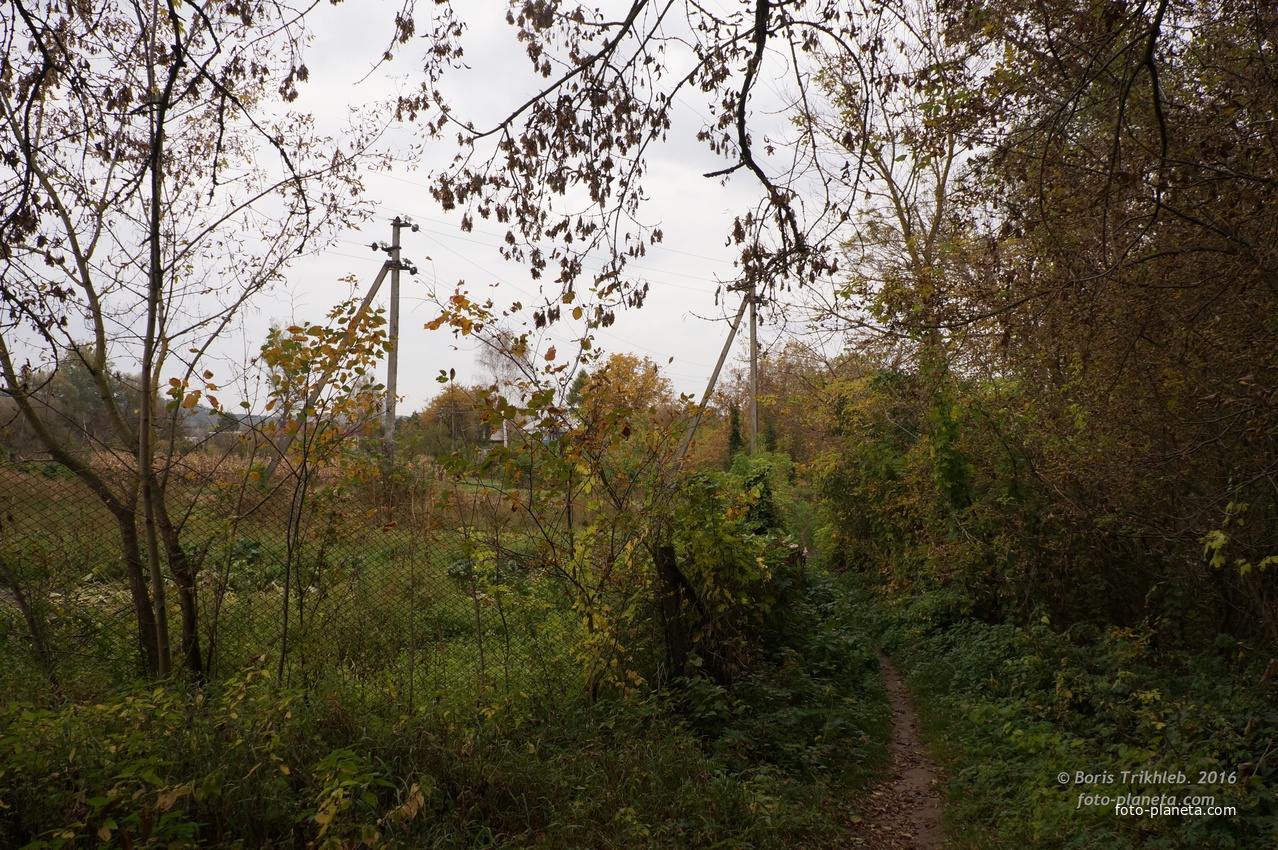 Михайловка, Западня
