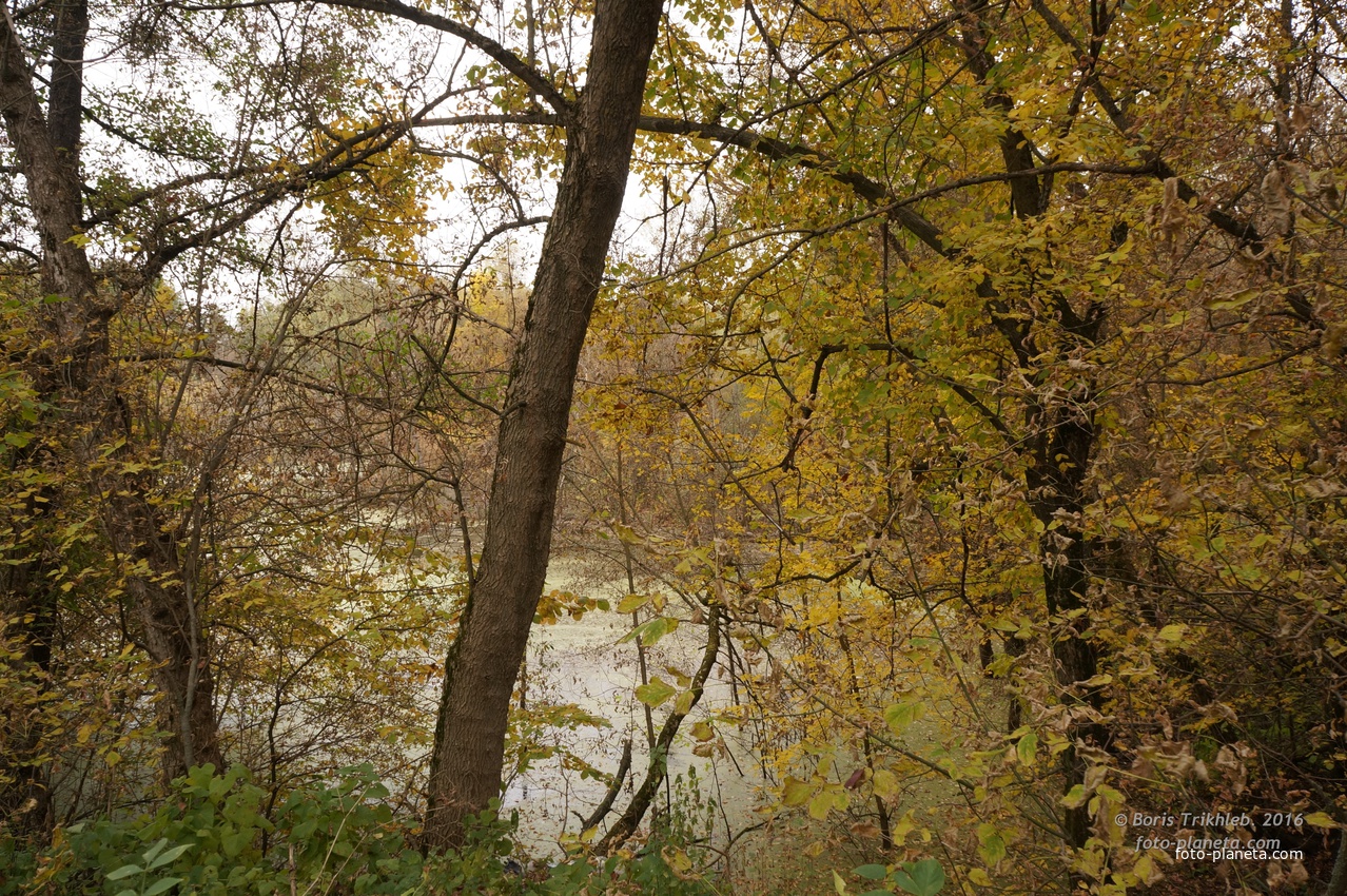 Михайловка, Западня