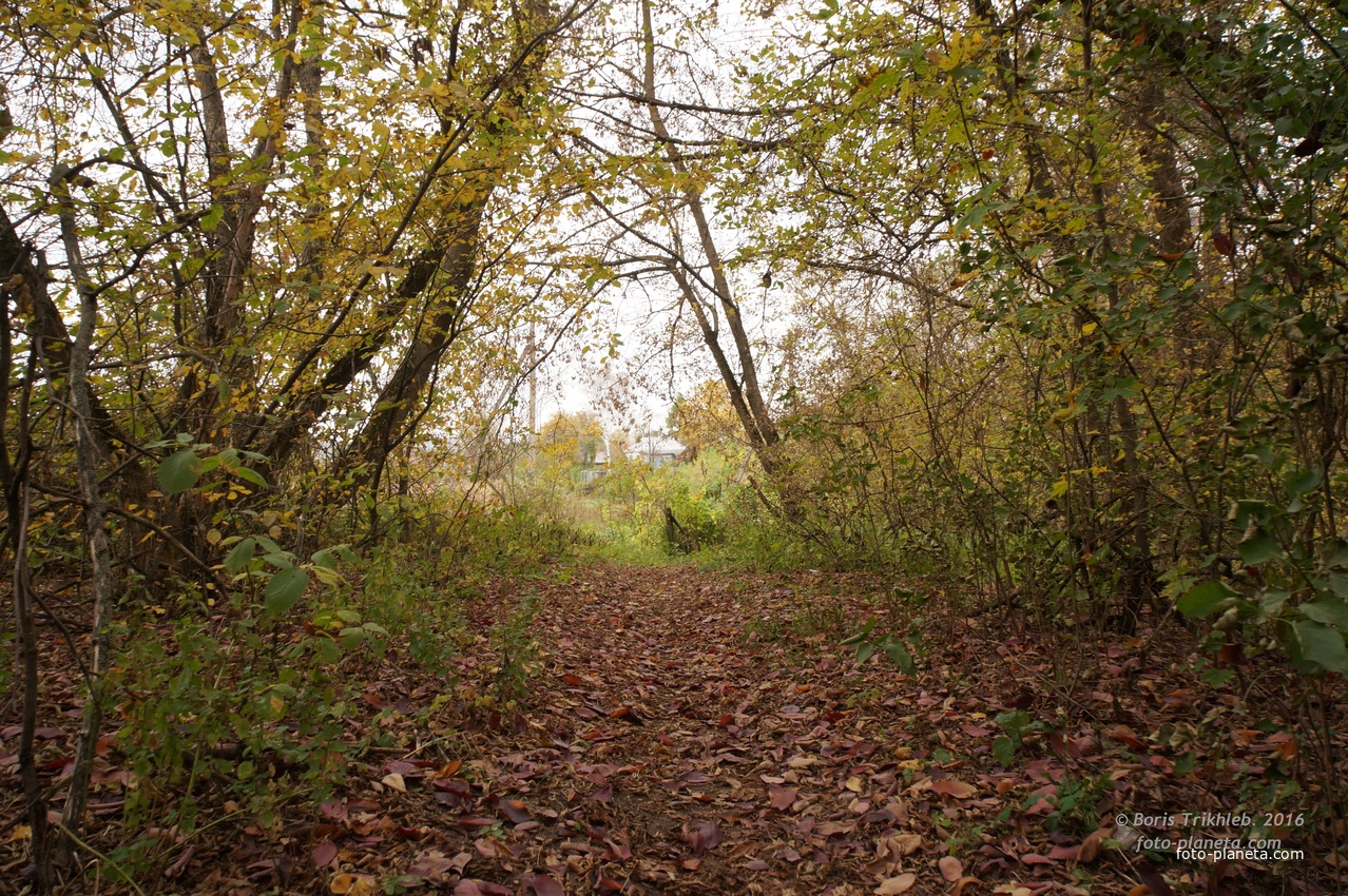Михайловка, Западня
