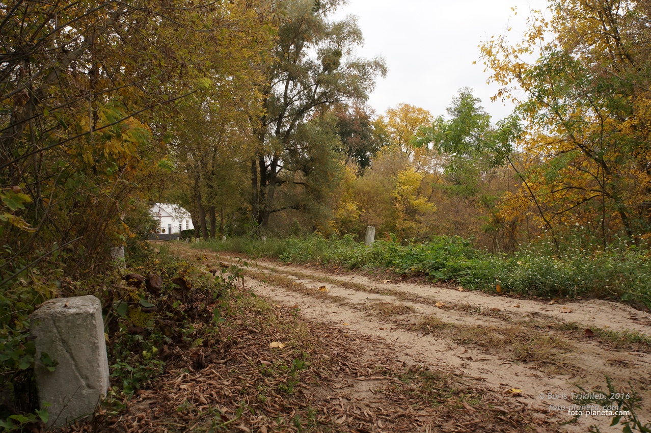 Михайловка, Западня