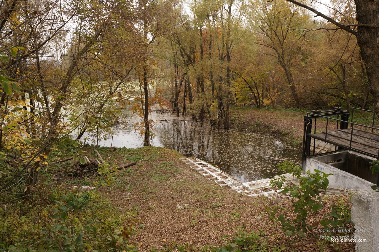 Михайловка, Западня