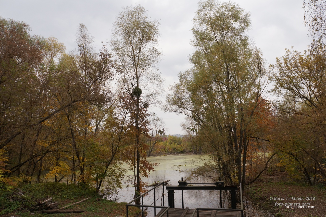 Михайловка, Западня