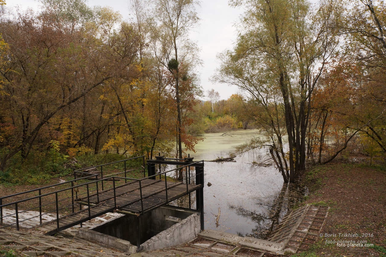 Михайловка, Западня