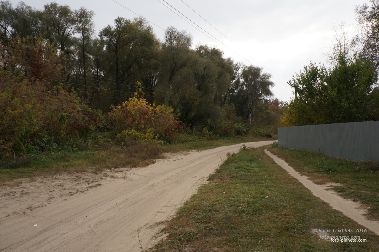 Луговая улица