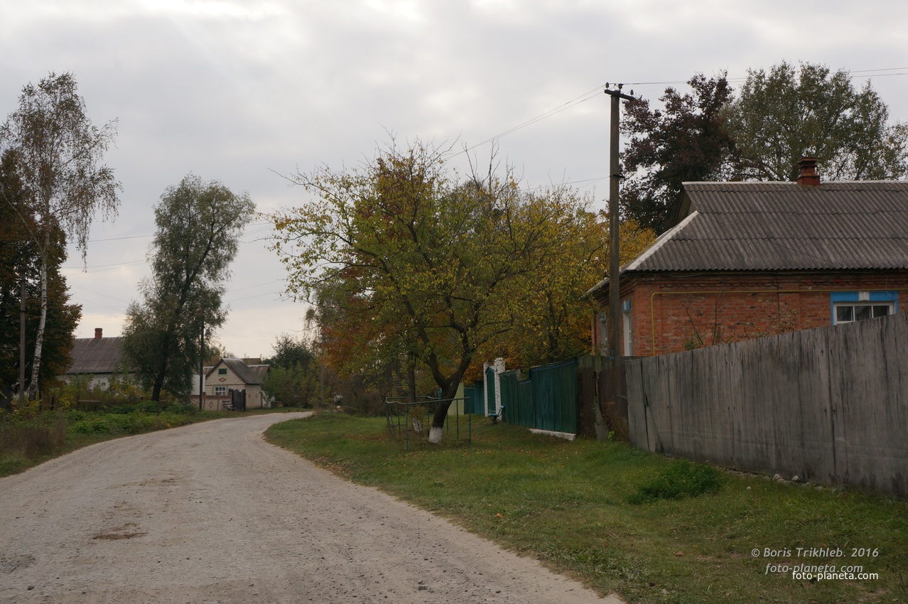 Луговая улица